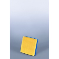 Air Filter Qfgaf25305 Fleetguard